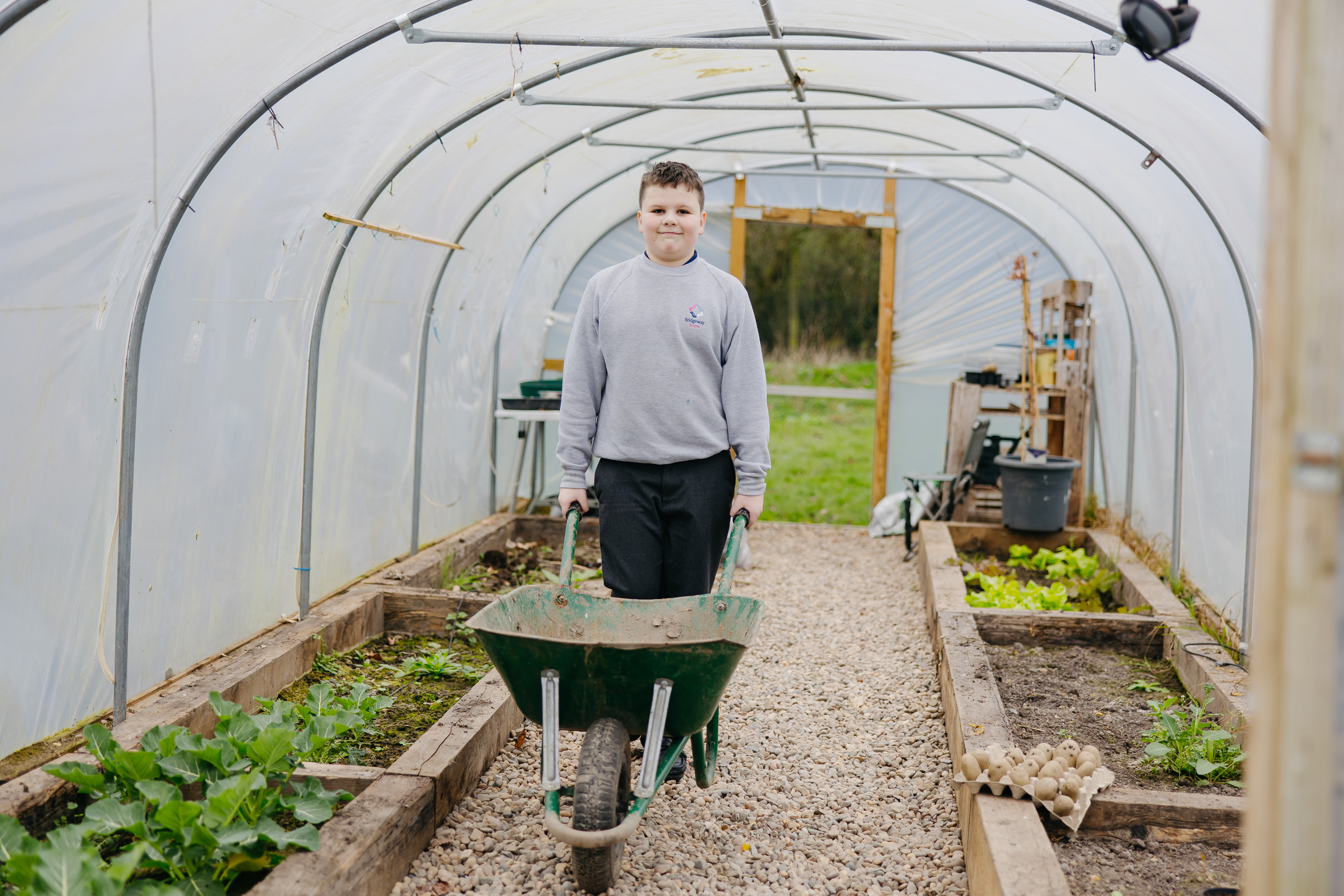 Boy pupil with wheelbarrow in greenhouse