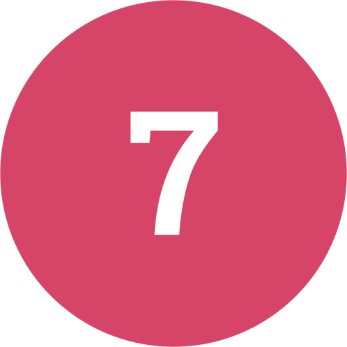 Number 7 Icon
