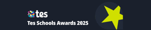 Tes School Awards 2025 logo