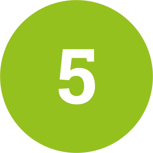 Light Green Number 5 Icon