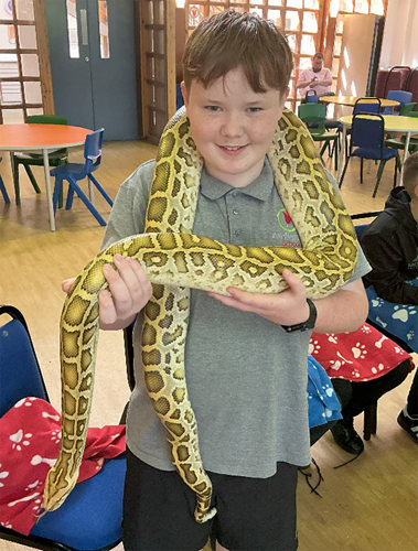 Ashbrooke School pupil pets snake