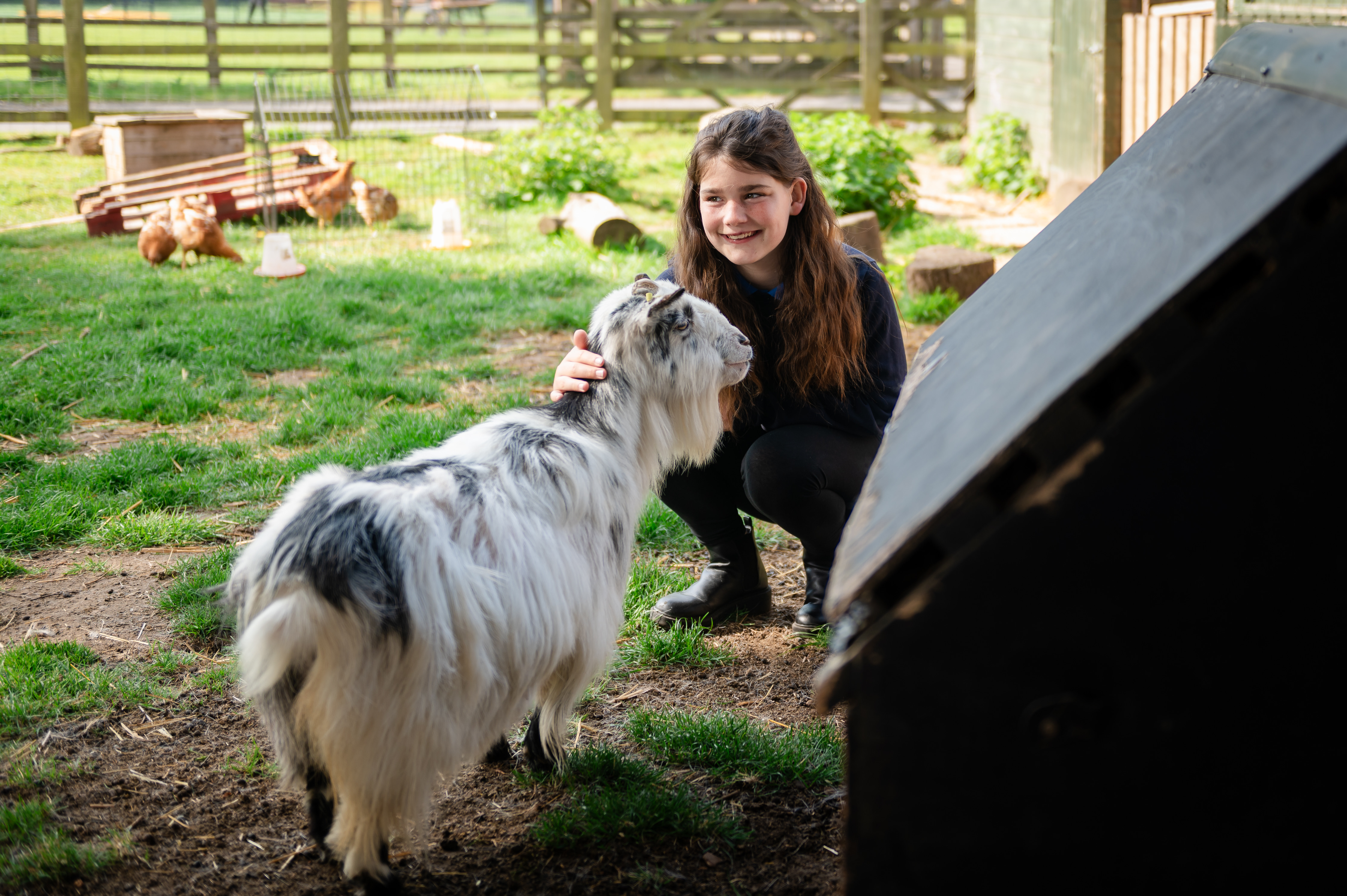 Girl stroking small goat while outside